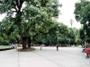 MENDOZA