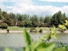 MENDOZA PARK
