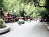 MENDOZA TRG