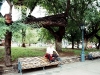 MENDOZA PARK