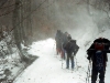 Stara Planina